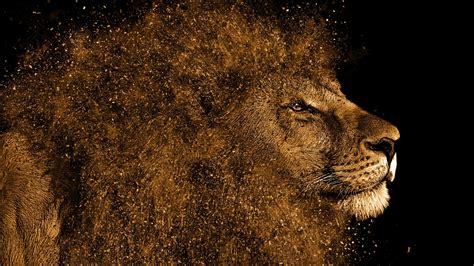 Lion Art 4k Wallpapers - Wallpaper Cave