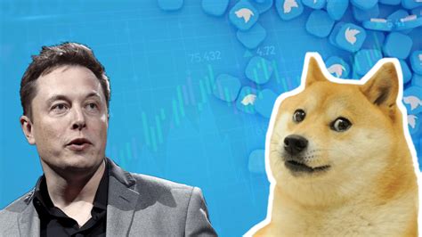 The Rise of Dogecoin: How Elon Musk's Jokes Sparked a Crypto Craze to ...