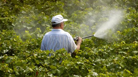 EPA's new pesticide rules: Will they make a difference? | Grist