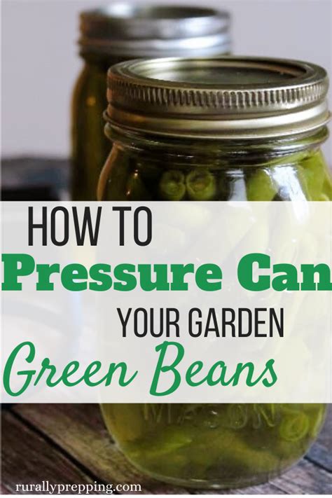 Canning Green Beans in a Pressure Cooker - Rurally Prepping