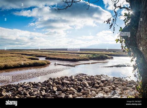 lower Otter River Restoration Project. Otter Head Stock Photo - Alamy