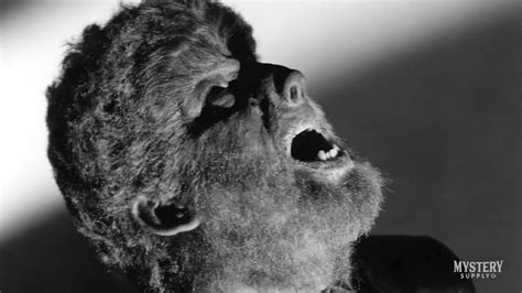 The Wolf Man 1940s Horror Movie Lon Chaney Jr. Howling Werewolf Photo ...