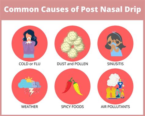 Post Nasal Drip: Symptoms, Causes, And Home Remedies