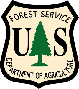 USDA Forest Service Logo PNG Vector (AI) Free Download