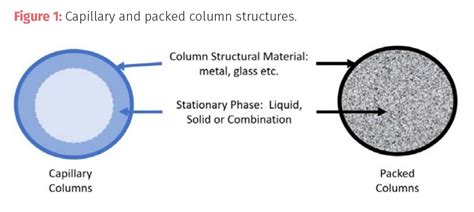 Packed Column Gas Chromatography | Hot Sex Picture