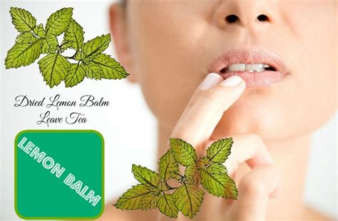 27 Best Home Remedies For Cold Sores On Lips And In Mouth