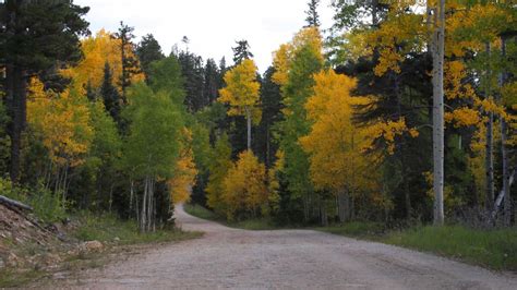 Kaibab National Forest - Things To Do, Hiking, Entrance Fee, Camping, Map