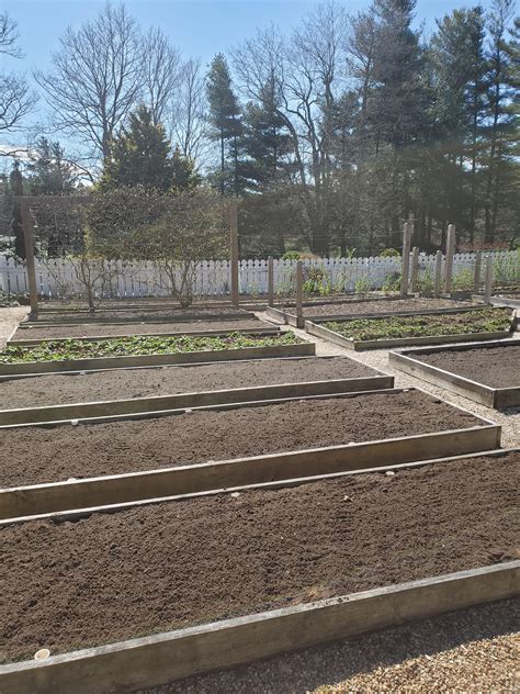 Prepping the vegetable garden. : r/gardening