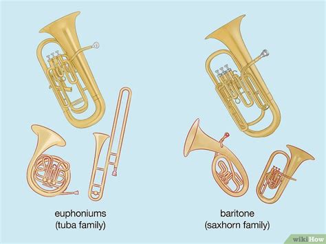 Euphonium vs. Baritone: Size, Sound, & Shape