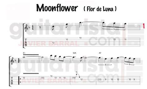 MOONFLOWER (Flor de Luna) - Santana | Guitarrista