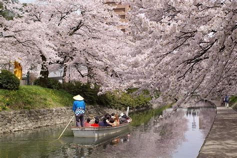 Best Japan Tour Packages 2024-2025 | Kyuhoshi