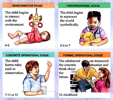 Stages of Development - Piaget's Cognitive Development Theory