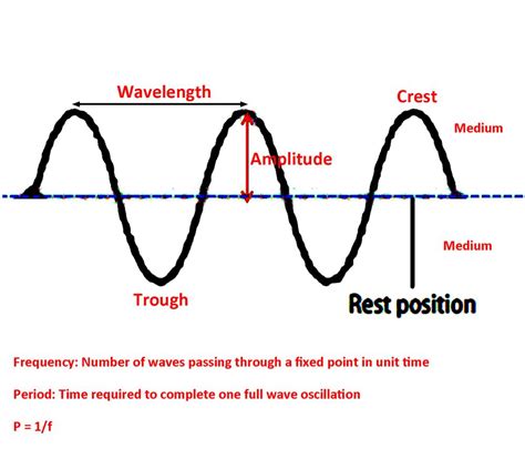 What Is Transverse Wave | Images and Photos finder