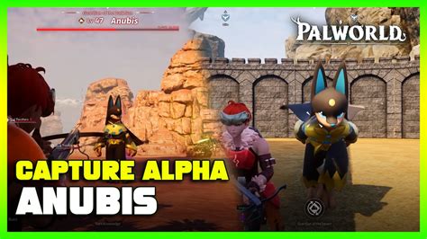 Capture Alpha Anubis | Palworld Gameplay - YouTube