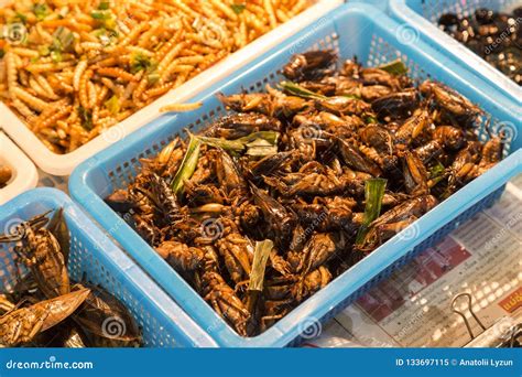 Fried Insects . Night Market in Bangkok. Thailand Stock Image - Image ...