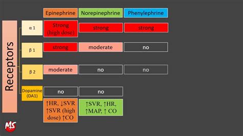 Vasopressors And Inotropes Made Easy