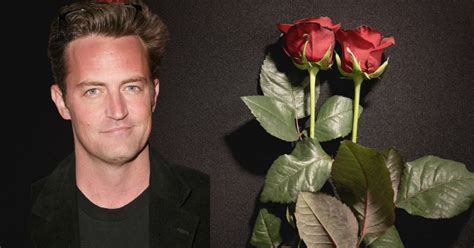 The Highest Grossing Matthew Perry Movies, Ranked