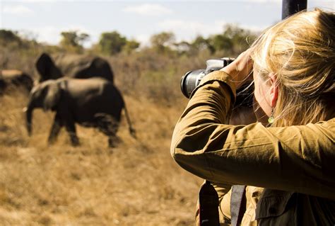 Capturing Africa’s wildlife – the growth of photographic safaris | Southern & East African ...