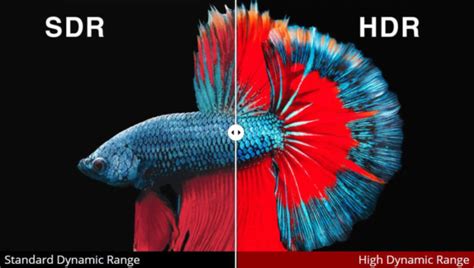 Qual diferença entre Dolby Vision, HDR10, HDR10+, HLG e Advanced HDR? • Gadgets • Tecnoblog