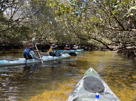 Adelaide: Dolphin Sanctuary Eco Kayaking Tour | GetYourGuide