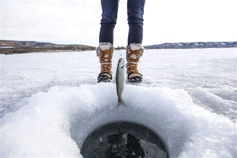 The BEST Ways to Experience Winter in Alberta (for 2024)