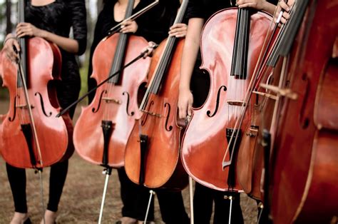 Free stock photo of bowed stringed instrument, cello, cellos