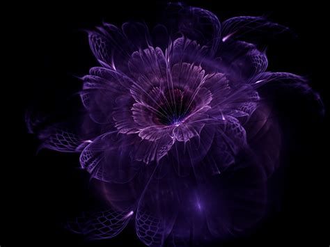 Wallpaper : black background, abstract, purple, violet, symmetry ...