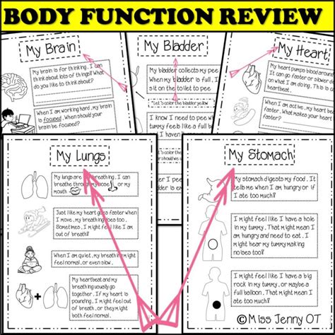 Interoception Activities For Kids Worksheets - Miss Jenny OT