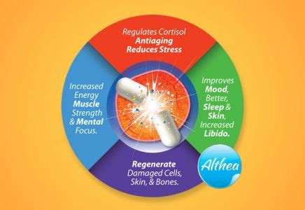 Laminine Dosage | Standard Intake - LAMININE