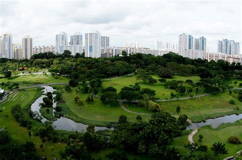 Ang Mo Kio Park _755940463 - Where Your Journey Begins