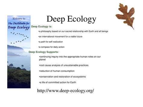 PPT - Deep Ecology PowerPoint Presentation, free download - ID:1827979