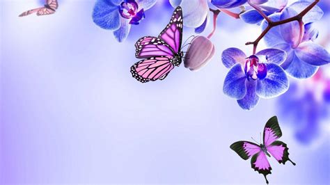 Purple Butterfly Desktop Wallpapers - Top Free Purple Butterfly Desktop Backgrounds ...