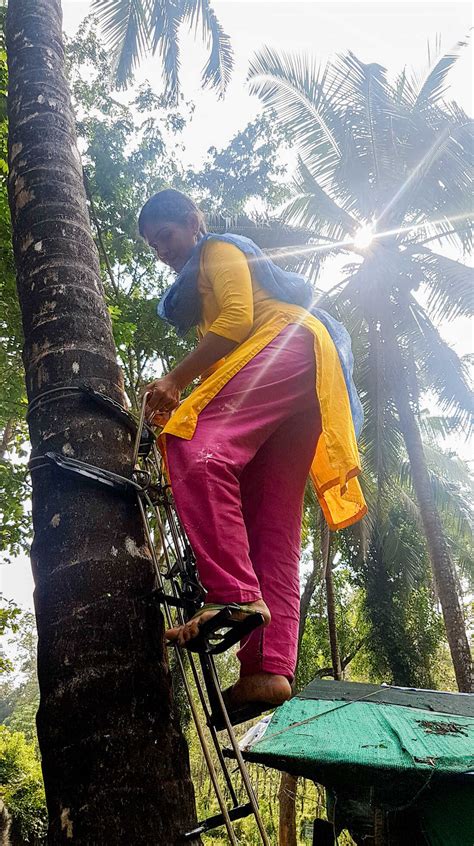 Kerala Is Short On Coconut Pickers So Women Are Stepping In (And ...