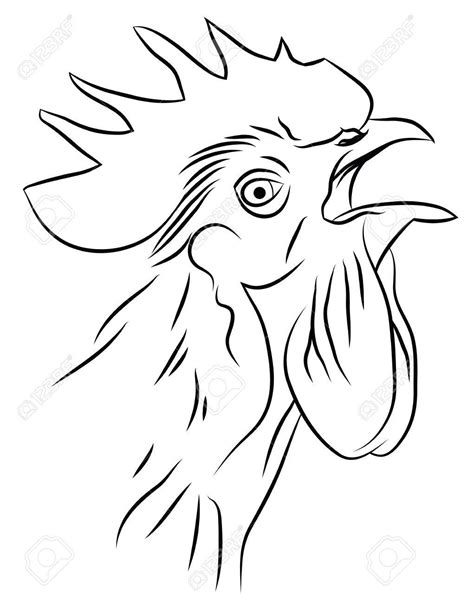 Rooster Head Drawing at GetDrawings | Free download