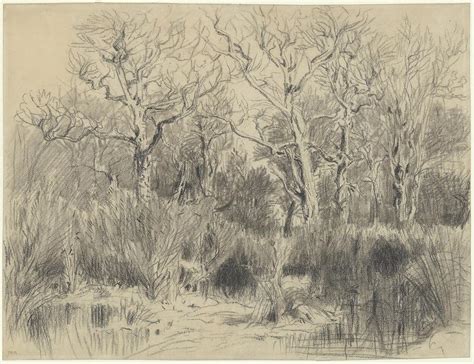 Trees In A Thicket Drawing by Th?odore Rousseau - Fine Art America