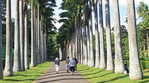 Royal Botanical Gardens Peradeniya | Things to do in Peradeniya, Sri Lanka