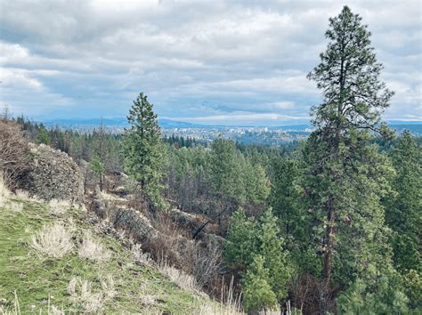 Hiking in Spokane: Trails the Whole Family Will Enjoy - Everyday Spokane