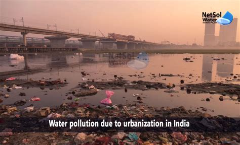 How Urbanisation Causes Pollution - Infoupdate.org