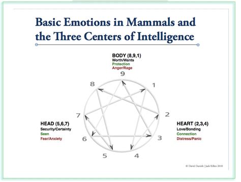 Enneagram Centers – Intro to the Enneagram