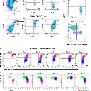 Inflammation in response to low-vs highdose zymosan in the mouse... | Download Scientific Diagram