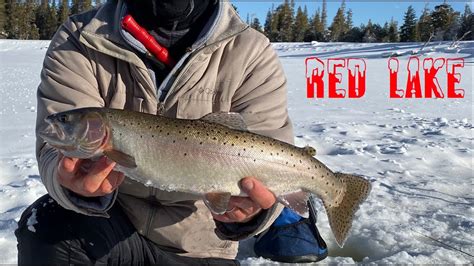 Red Lake! Ice fishing for Cutthroat Trout! - YouTube