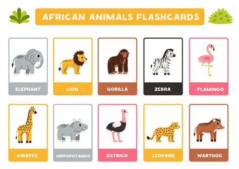 Cute African animals with names. Flashcards for learning English ...