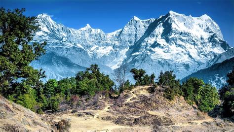 Gangotri National Park