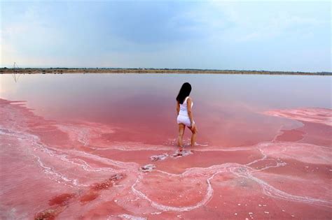 Lake Hillier, the Stunning Pink Lake in Western Australia | The BackPackers