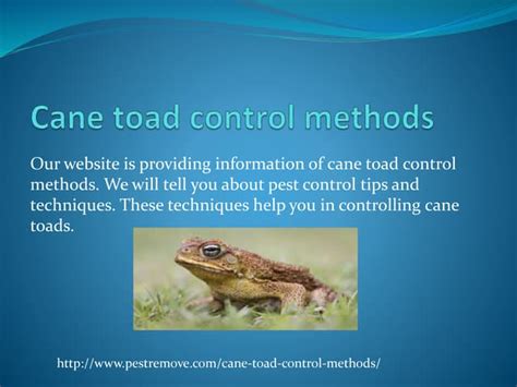 Cane toad control methods | PPT