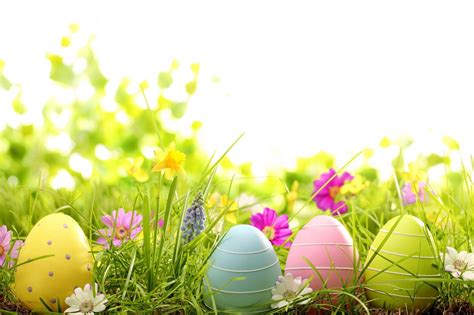 Discover 87+ free easter wallpaper for desktop latest - in.cdgdbentre