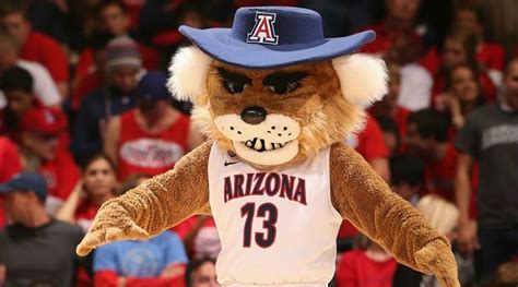 Mascot Monday: The University of Arizona Wildcats - have we featured ...