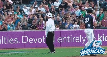 Grand Rapids Baseball GIF by West Michigan Whitecaps - Find & Share on ...