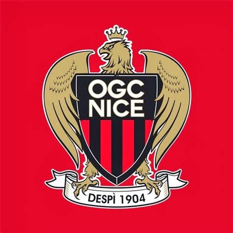 OGC Nice | Football logo, Nice, International football