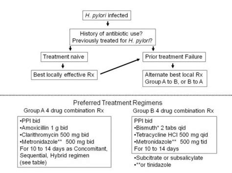 Helicobacter pylori infection - Cancer Therapy Advisor